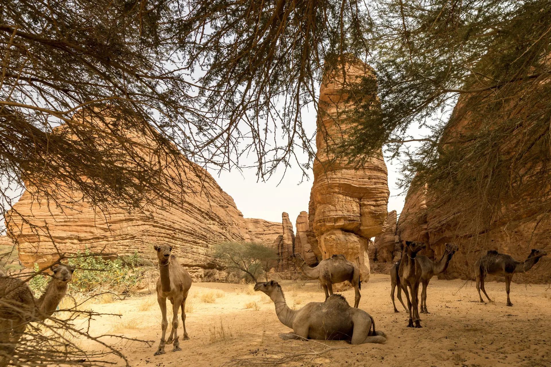 Tschad travel