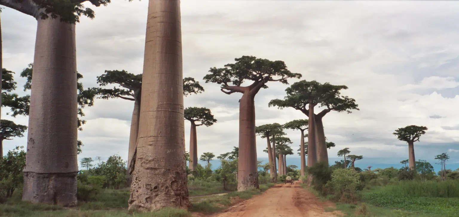 Madagaskar travel