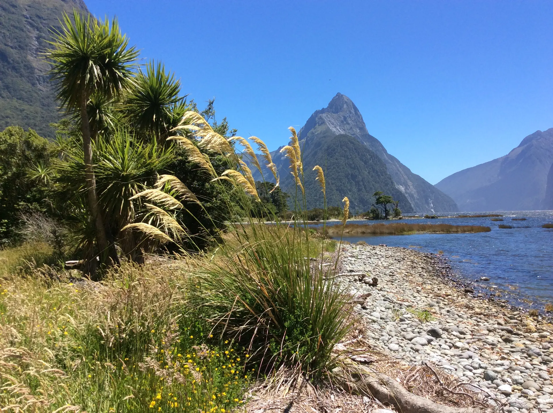 Neuseeland travel